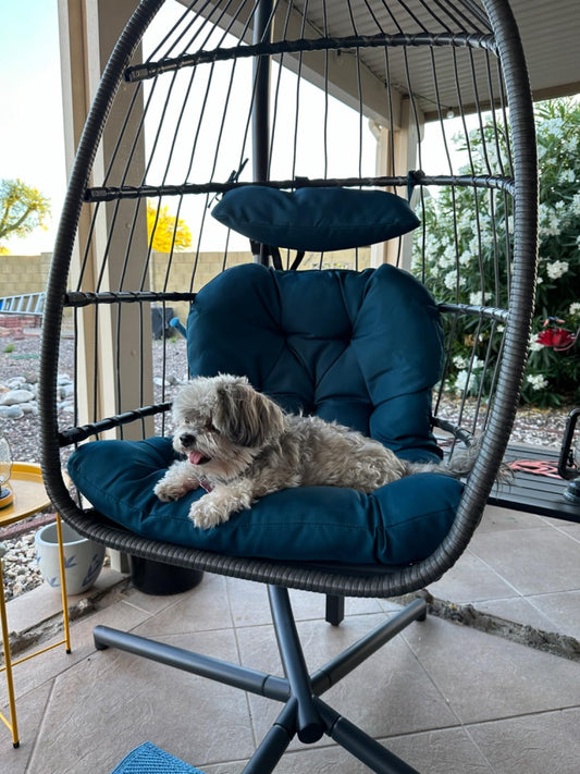 Egg Chair with Stand